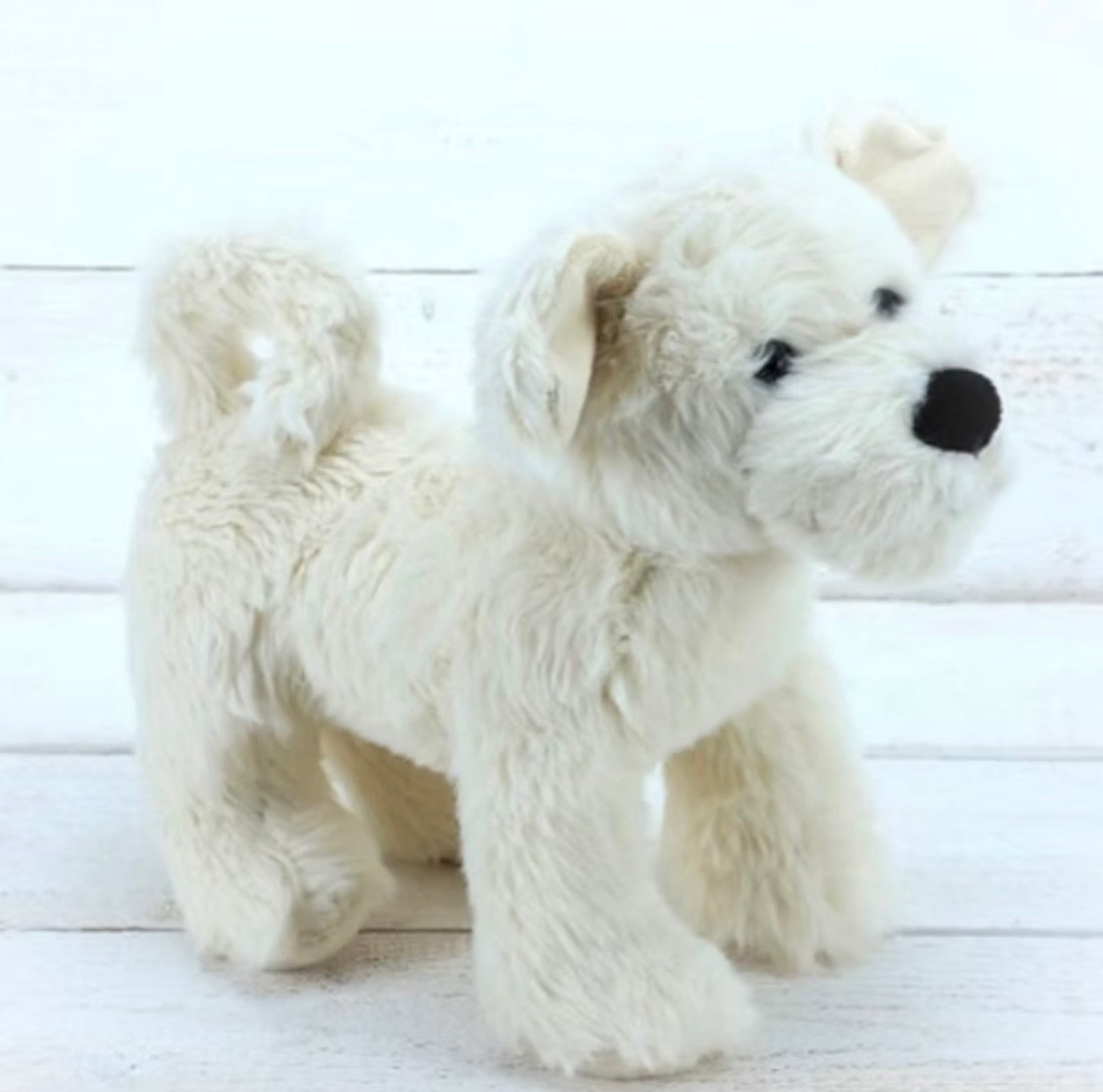 JOMANDA PUPPY DOG CREAM